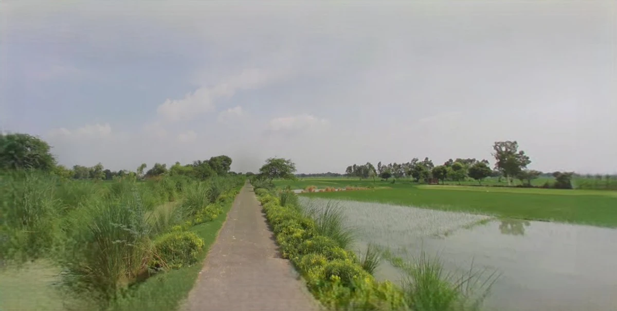 Anupgarh, Rajasthan 335701, India