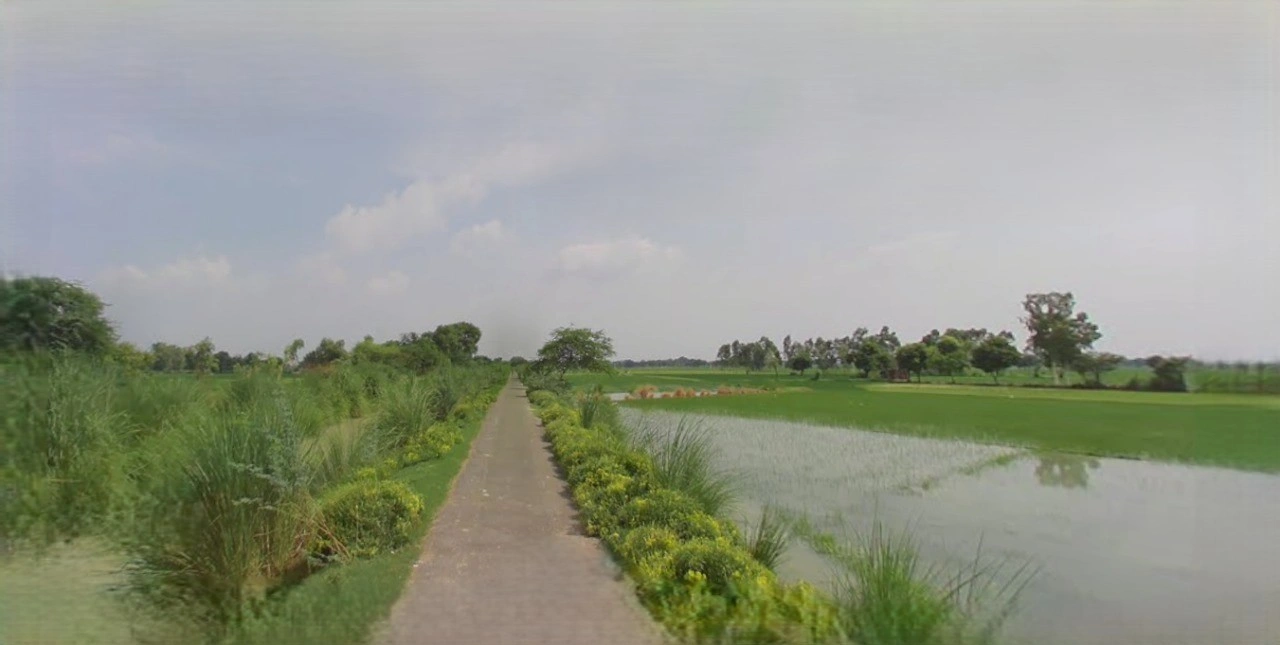 Anupgarh, Rajasthan 335701, India