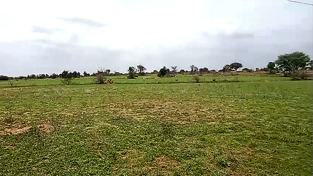 WQJM+VM Chagaluru, Andhra Pradesh, India