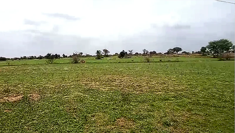 WQJM+VM Chagaluru, Andhra Pradesh, India preview 2