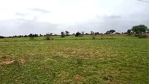 WQJM+VM Chagaluru, Andhra Pradesh, India preview 2