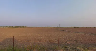 Rethal, Gujarat 382110, India preview 3