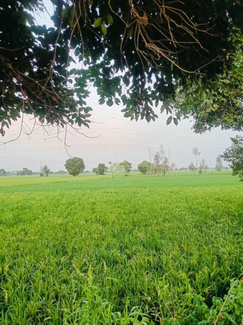 Borpa, Mathura, Uttar Pradesh, India - Photo 2