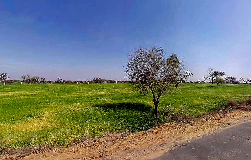 Aloda, Rajasthan 332602, India preview 3