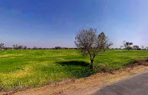 Aloda, Rajasthan 332602, India preview 3