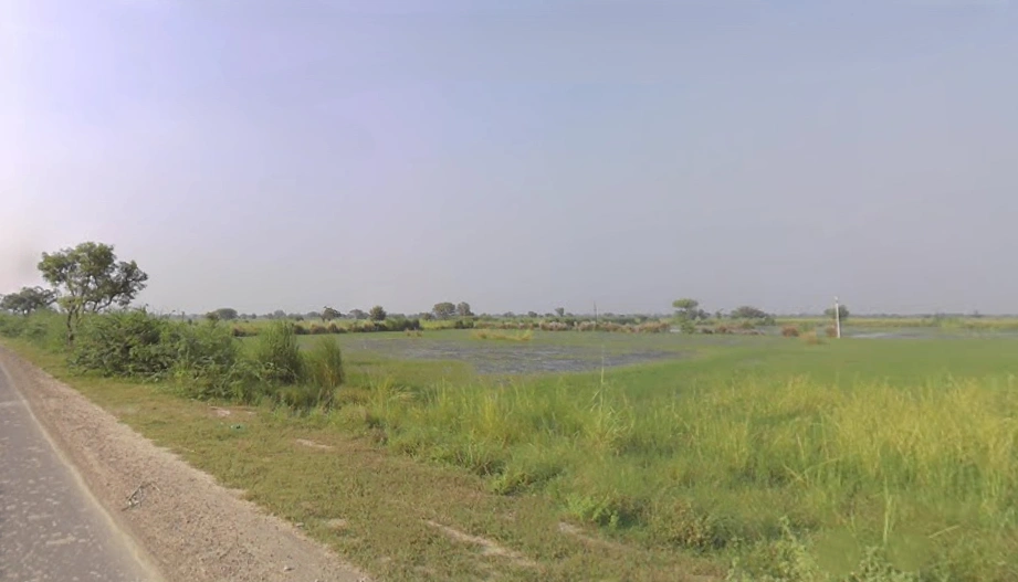 Bhagosa, Uttar Pradesh 281502, India