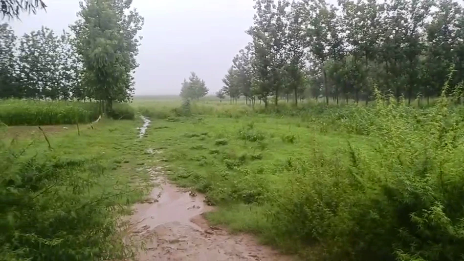 R3Q9+WJC, Alladadpur Urf Kulpur, Uttar Pradesh 245205, India