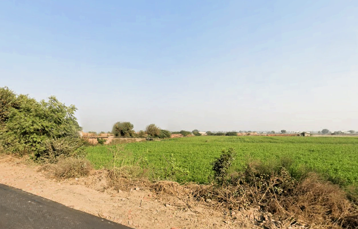 Bawani Khera, Haryana 127032, India