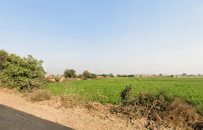 Bawani Khera, Haryana 127032, India preview 3