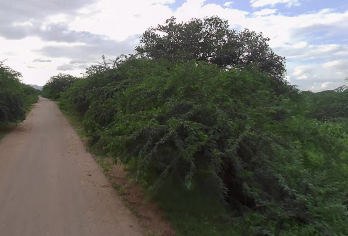 Khori, Rajasthan 305021, India