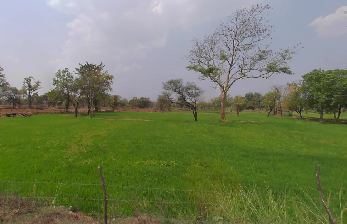 Dhamni, Chhattisgarh 493441, India