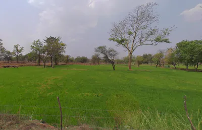 Dhamni, Chhattisgarh 493441, India preview 2