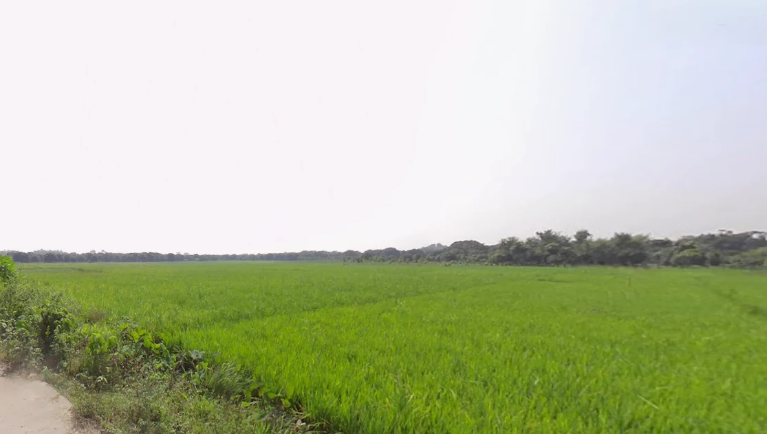 Habibpur, West Bengal, India