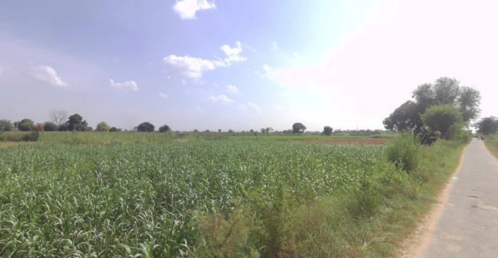 Kol, Uttar Pradesh, India