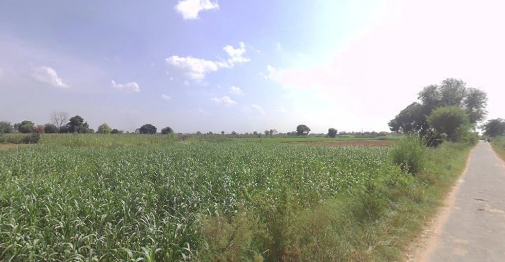 Kol, Uttar Pradesh, India