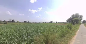 Kol, Uttar Pradesh, India preview 3