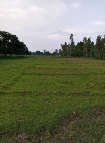 CCW9+W8 Latoori, Bareilly, Uttar Pradesh, India