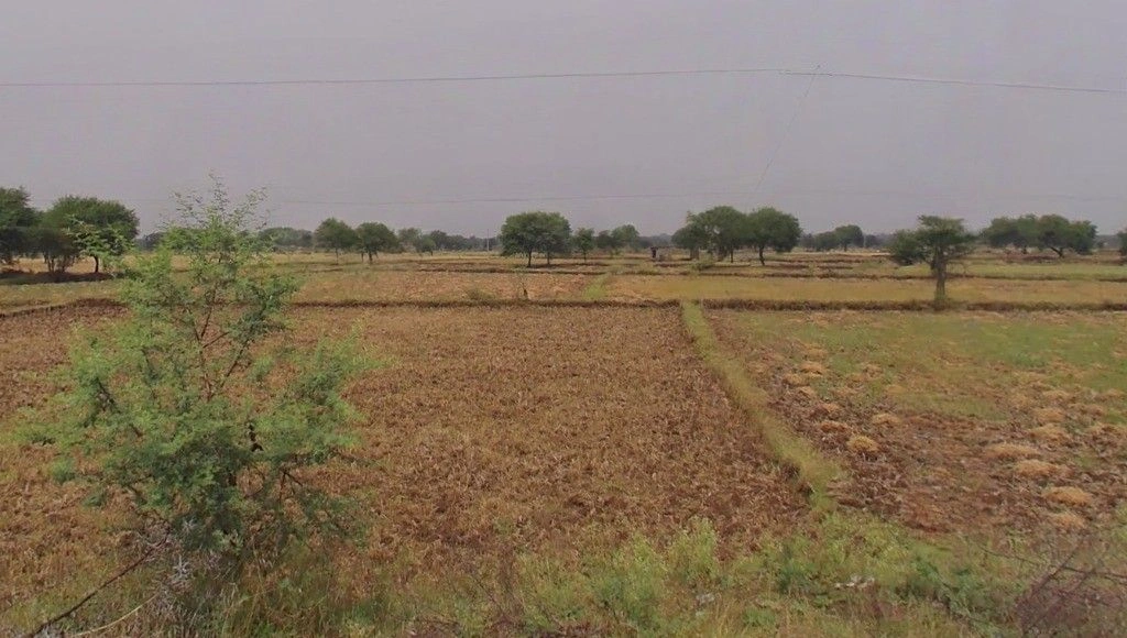 Gadamore, Chhattisgarh 491337, India preview 2