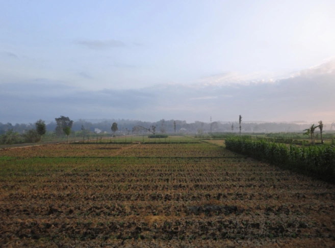 Berla, Rajasthan 321633, India preview 2