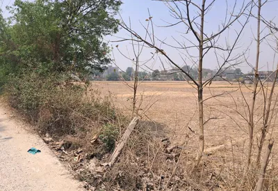 Biharinath Hill, West Bengal 722153, India preview 3