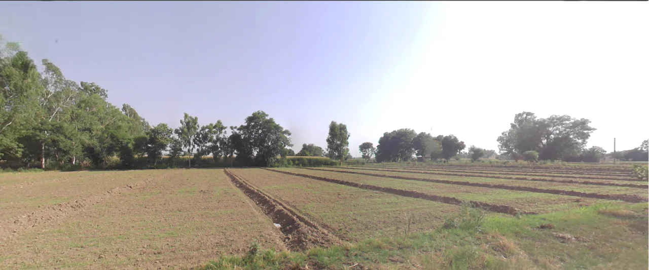 Hasanawala, Uttarakhand 247662, India preview 3