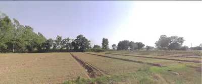 Hasanawala, Uttarakhand 247662, India preview 3