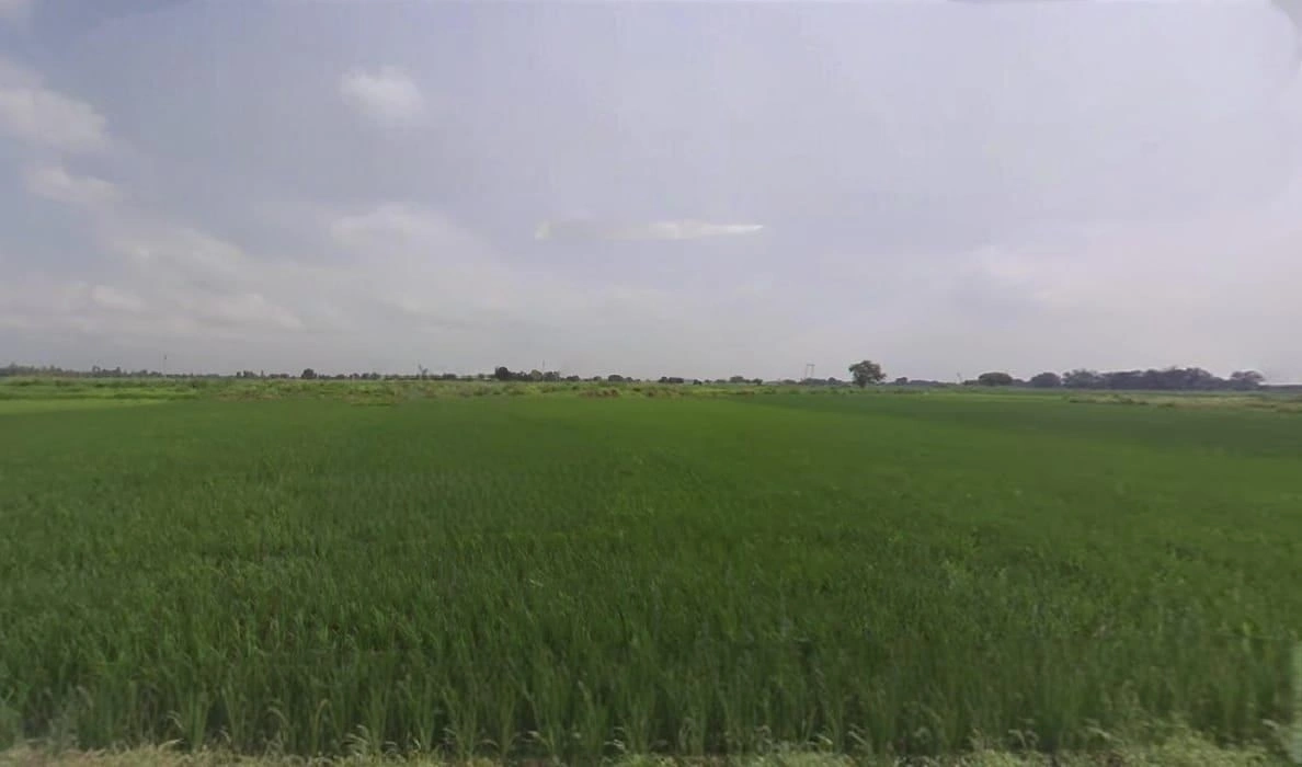 Khategaon, Madhya Pradesh 455336, India
