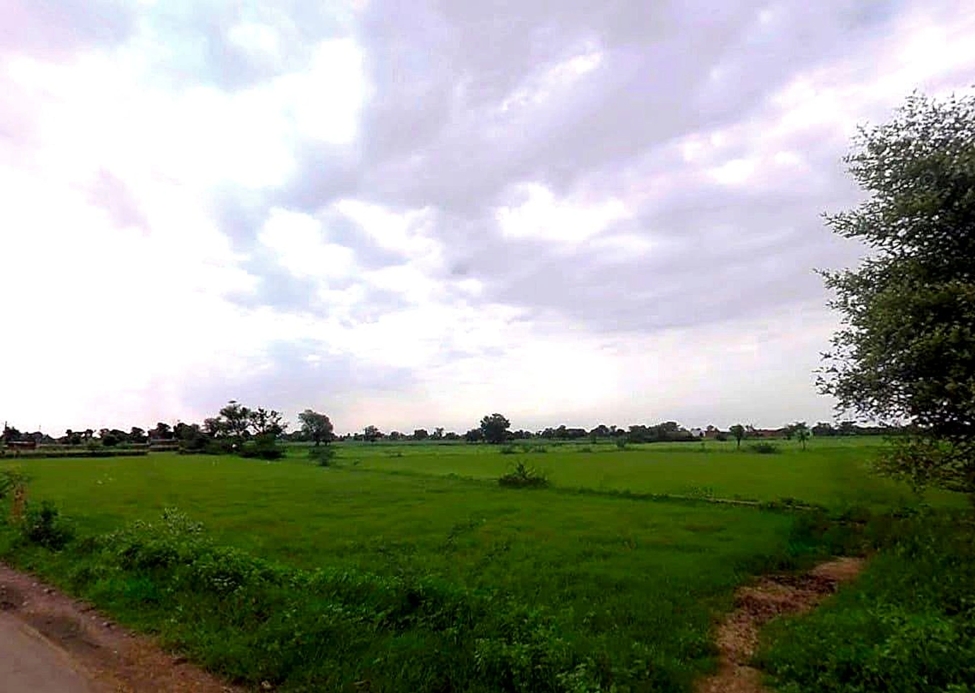 Sikari, Rajasthan 321024, India