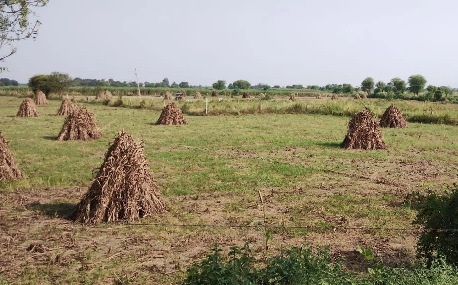 JJMJ+QFF, Ulaheri, Rajasthan 301023, India