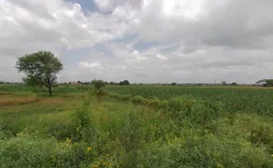 Uttam Marg, Bhawanipura, Rajasthan 303903, India preview 3