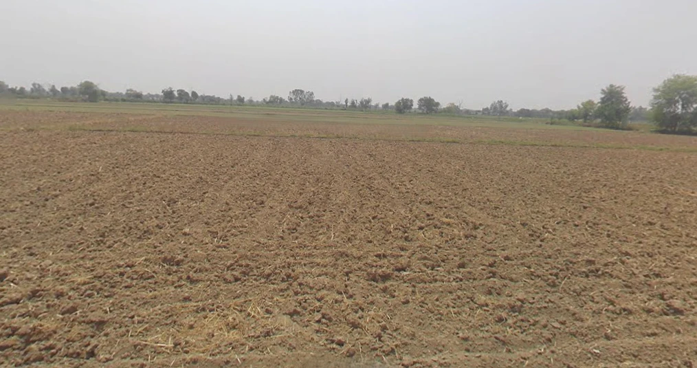 Siyana, Uttar Pradesh 203412, India