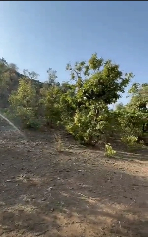 V4X9+35 Chhapri, Rajsamand, Rajasthan, India