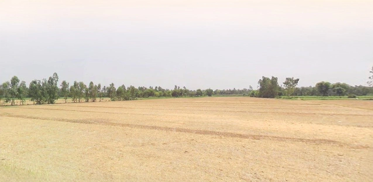 Sitarganj, Uttarakhand 262405, India