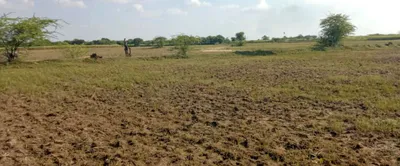 3PRR+46W, Tantiyawas, Rampura Dabri, Rajasthan 303704, India preview 3