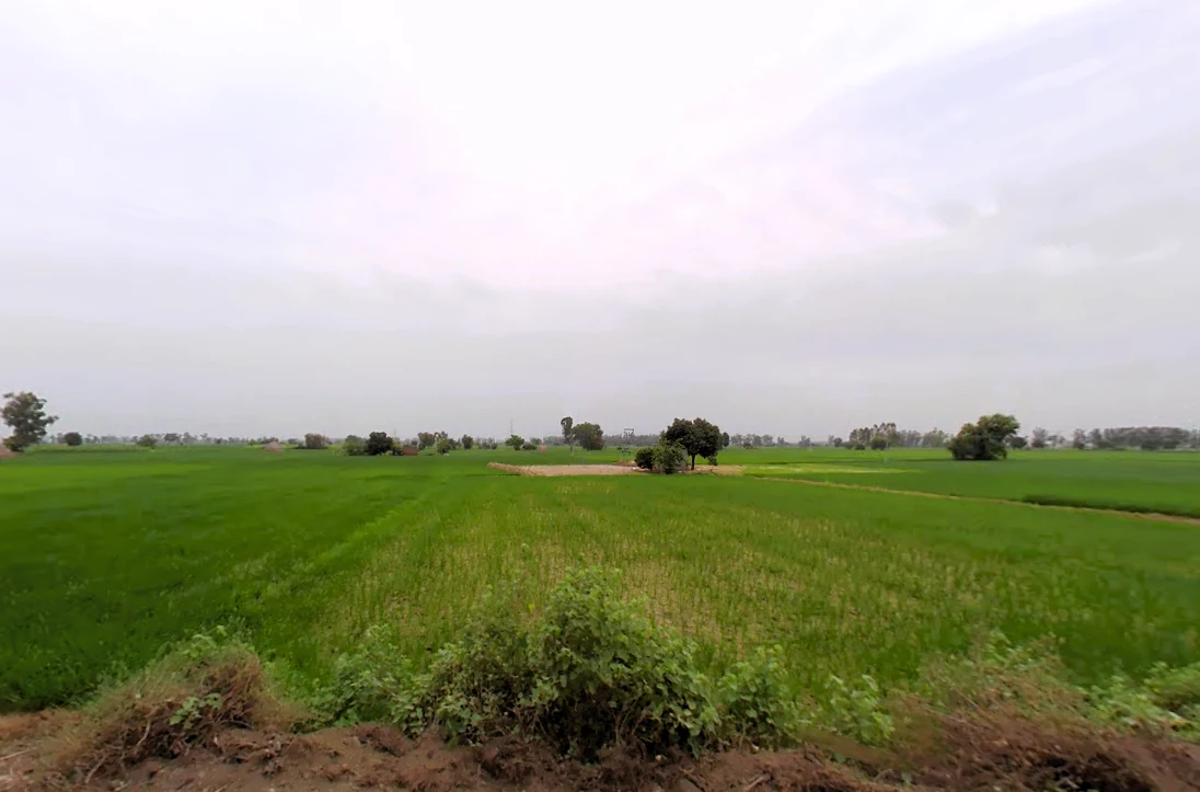 Rajound, Haryana 136044, India preview 2