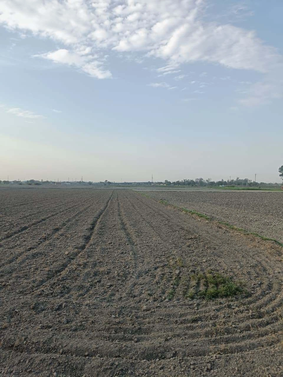 Sankhi, Uttar Pradesh 281401, India