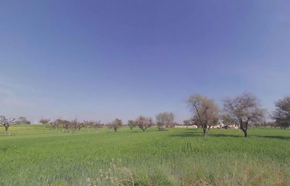 Aloda, Rajasthan 332602, India