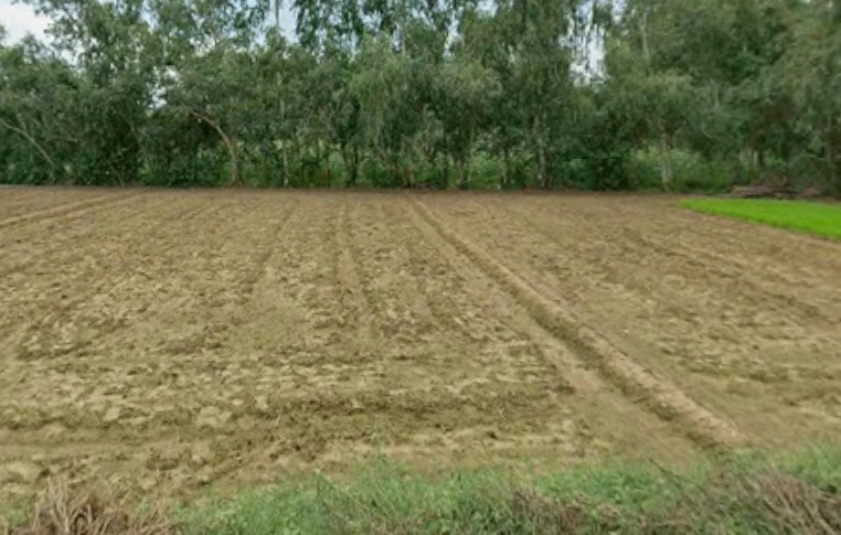 Mundha Pande, Uttar Pradesh 244104, India