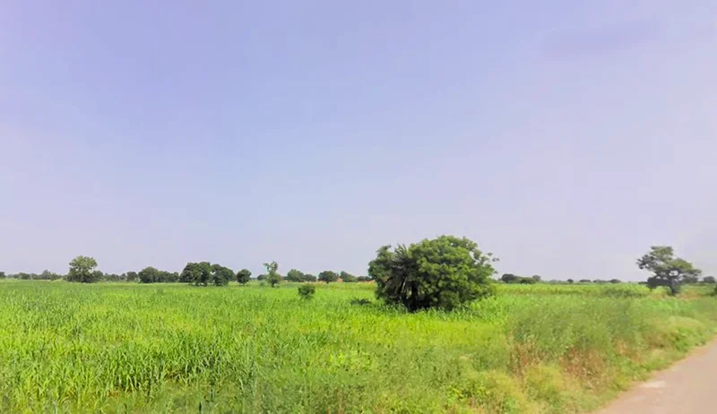 Sohna, Haryana 122103, India preview 2