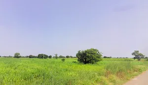 Sohna, Haryana 122103, India preview 2