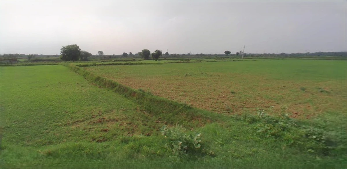 Sonipat, Haryana, India