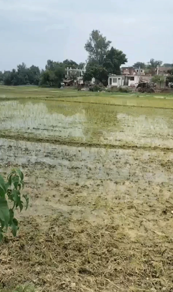 H3HG+8F, Lucknow, Meerakh Nagar, Uttar Pradesh 226302, India