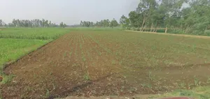 Tukrana, Madhya Pradesh 465001, India preview 2