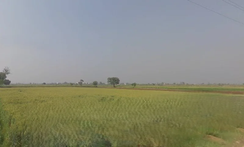 Hapur, Uttar Pradesh 245101, India preview 3