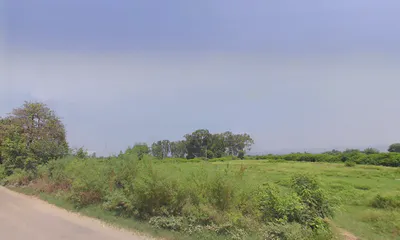 Billa, Haryana 134118, India preview 3
