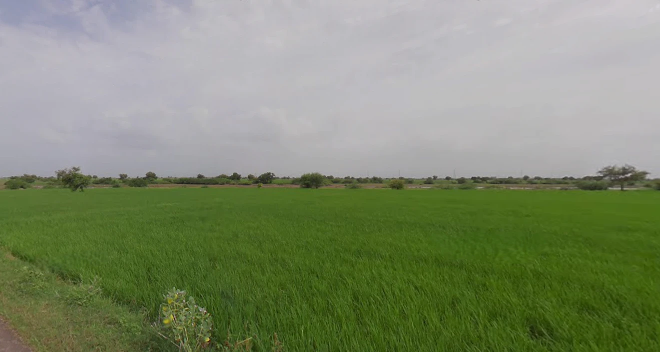 Jamni, Gujarat 387630, India