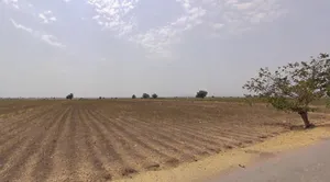 6V2M+38 Bellary[R], Karnataka, India preview 3