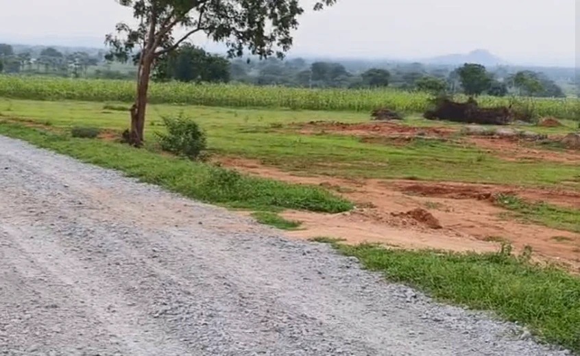 RW39+9CW, Nalgonda, Nelvalapalli, Telangana 508373, India