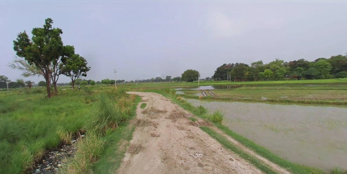 Chandla, Madhya Pradesh 471525, India