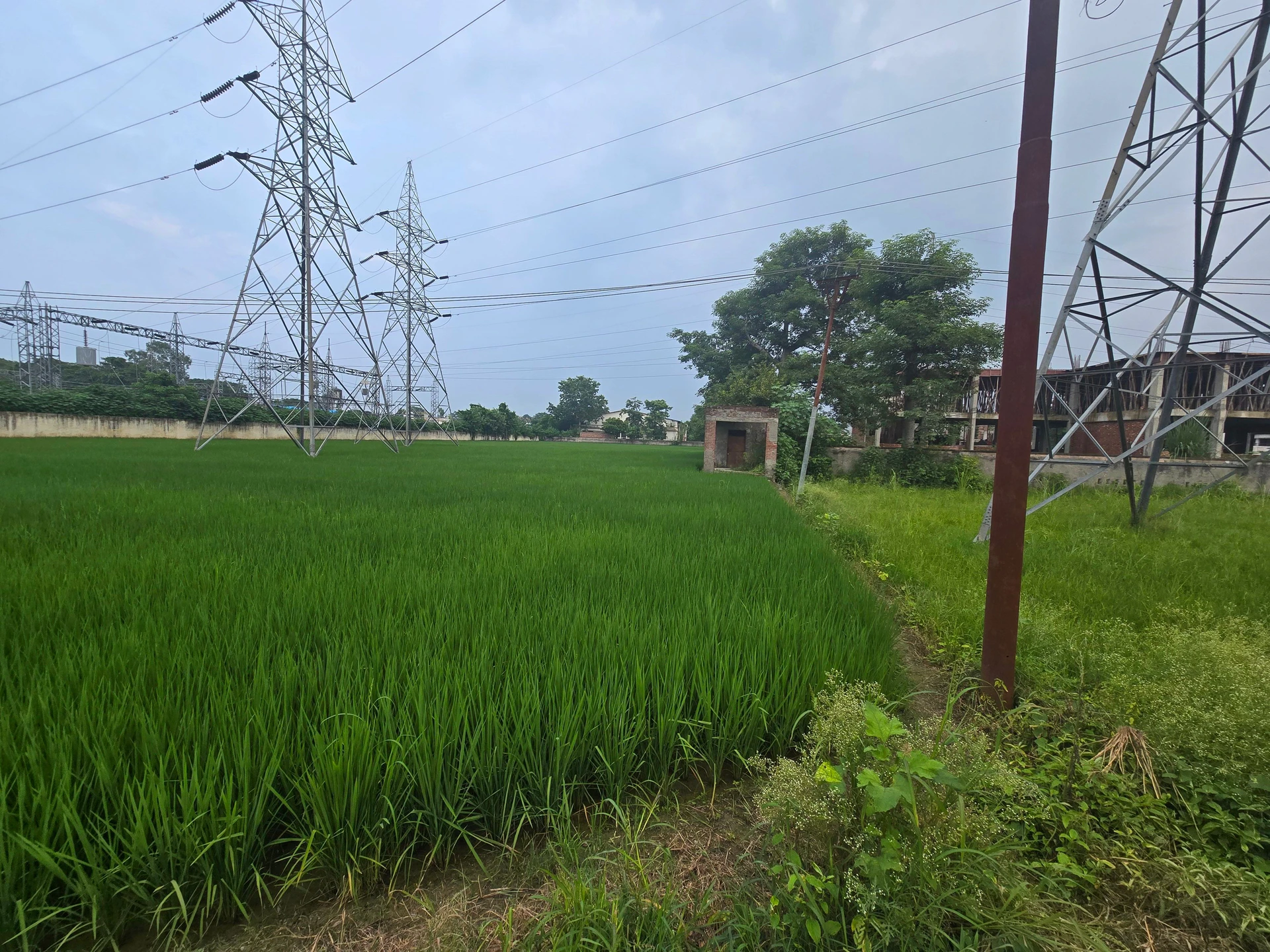 Rani Nagal, Udham Singh Nagar, Uttarakhand 262401, India